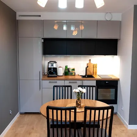 Apartman Comfortable Near The River, *